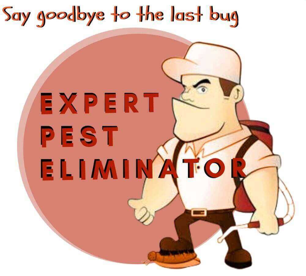 expert pest control