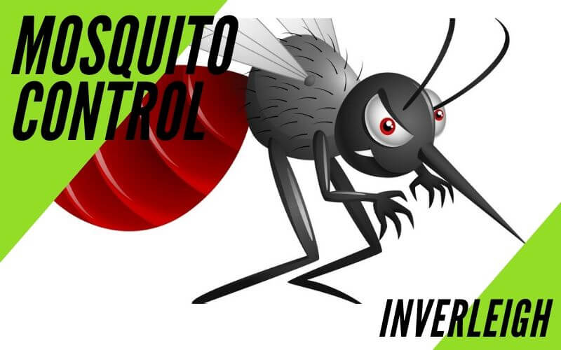 Mosquito control Inverleigh