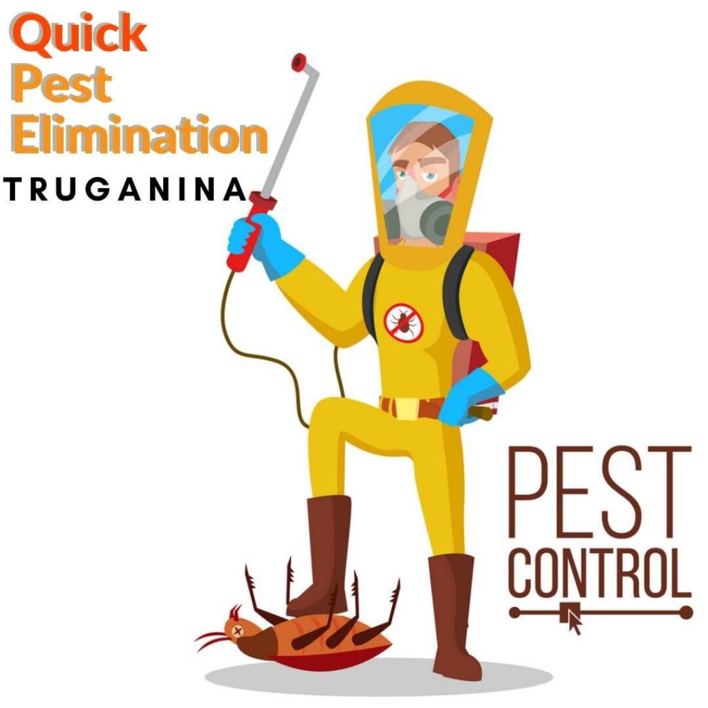 quick pest elimination