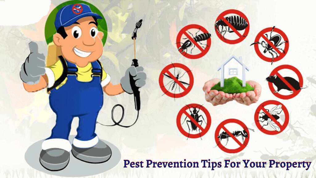 Pest Prevention Tips