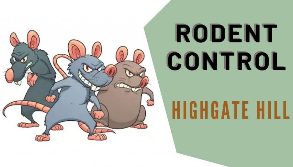 rodent control