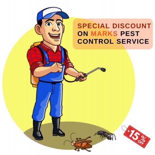 pest control discount