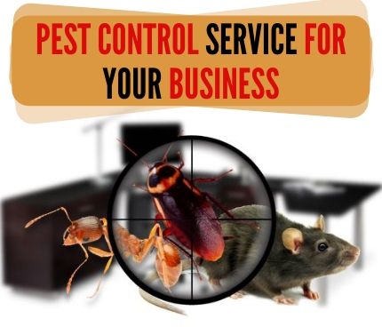 Commercial Pest Control