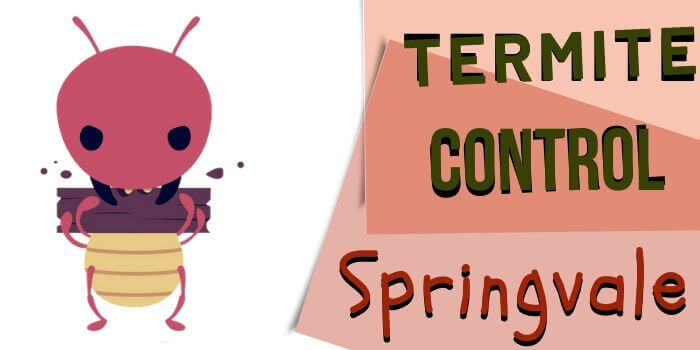 termite control springvale