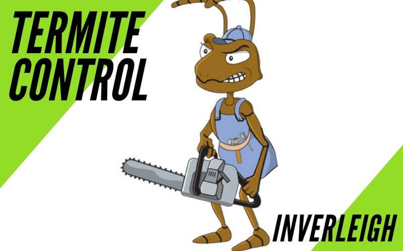 Termite Control Inverleigh