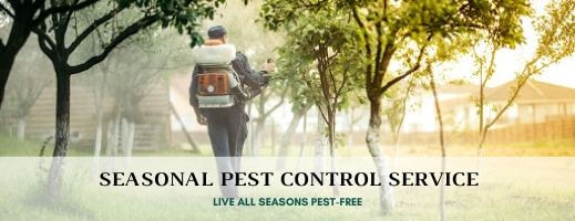 Seasonal Pest control Forest Lodge