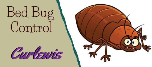 Bed bugs Control Services