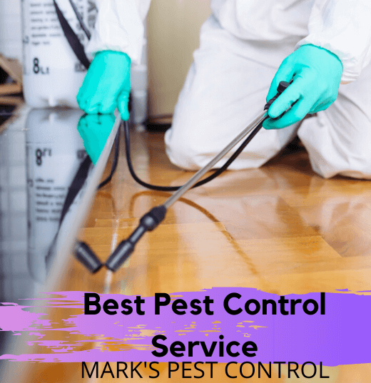 Best Pest Control Service by Marks's Pest Control