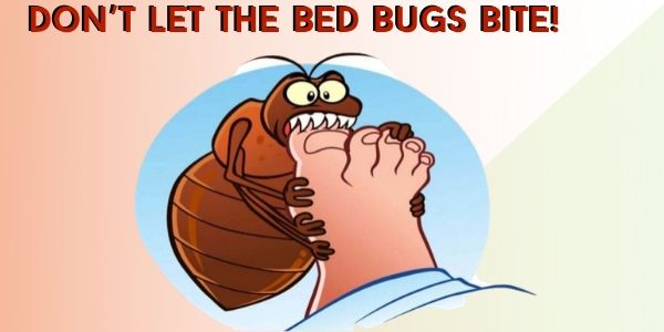 dont let bedbug bite