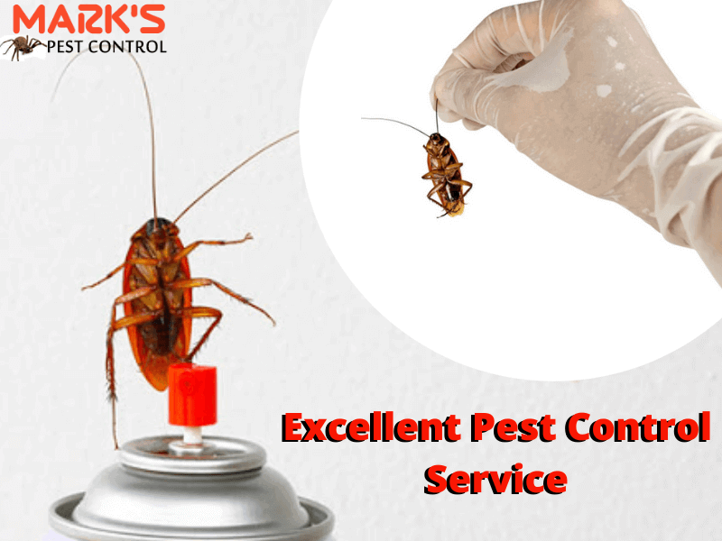 Excellent Marks Pest Control Service