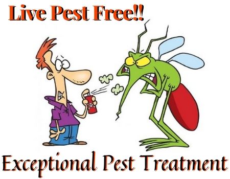 Pest Control Gymea Bay