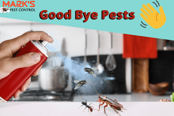 Marks Pest Control Service