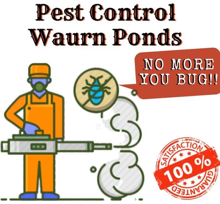 Pest Control Waurn Ponds