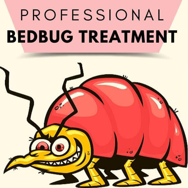professional bedbugs treaatment adelaide