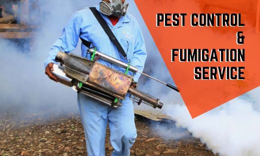Fumigation Service