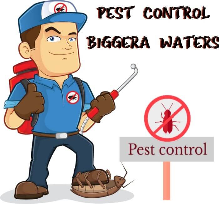 Pest Control Biggera Waters
