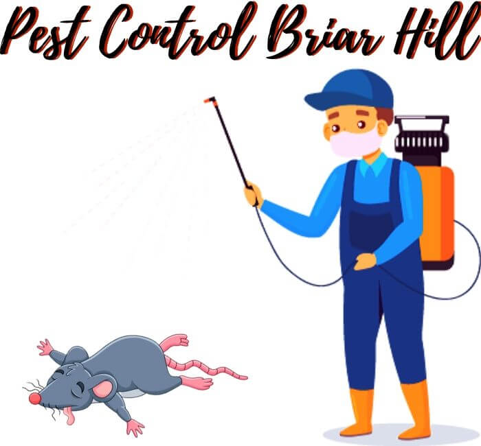 Pest Control Briar Hill