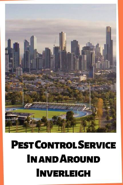 Affordable Pest Control Inverleigh