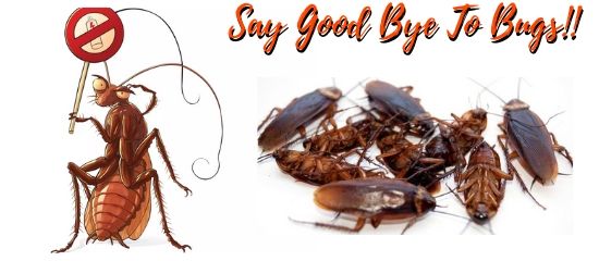 Pest Control Buninyong