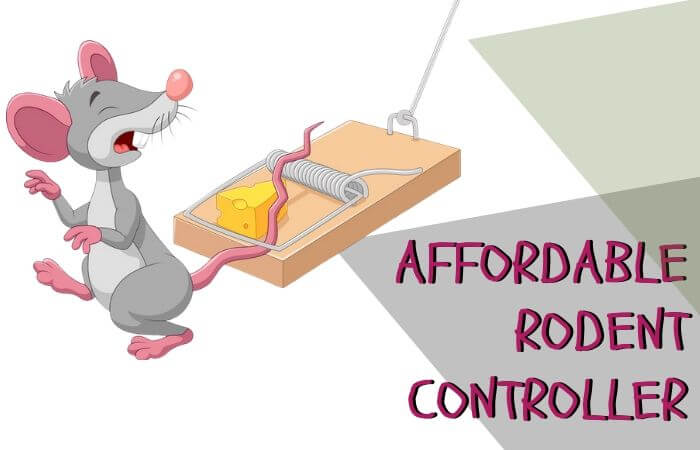 affordable rodent controller