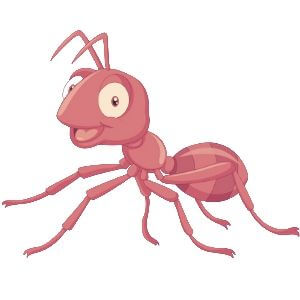 Ants Control Buninyong