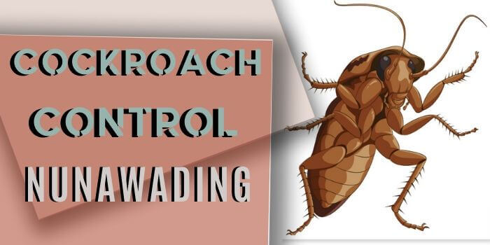 cockroach control Nunawading