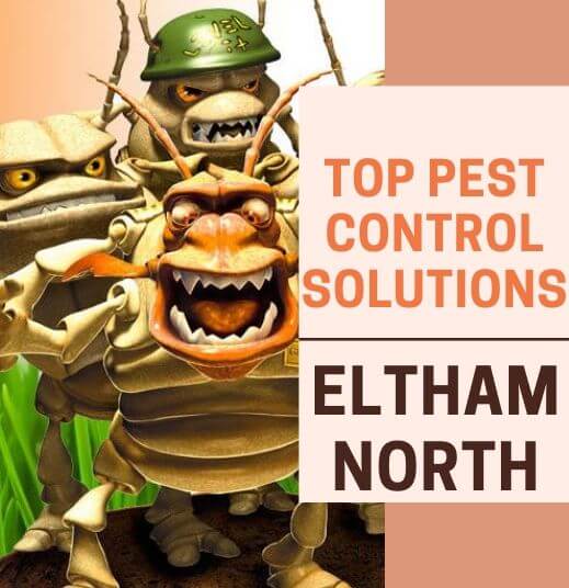 Pest Control Eltham North