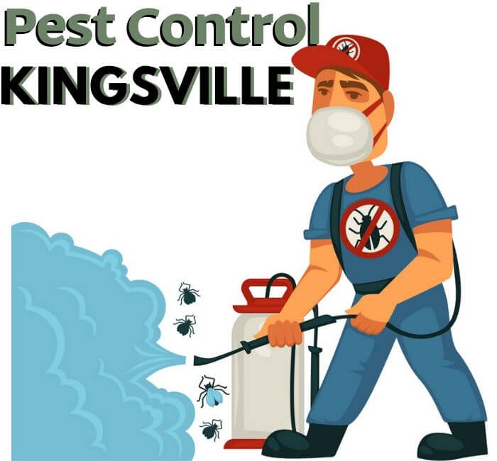 Pest Control Kingsville