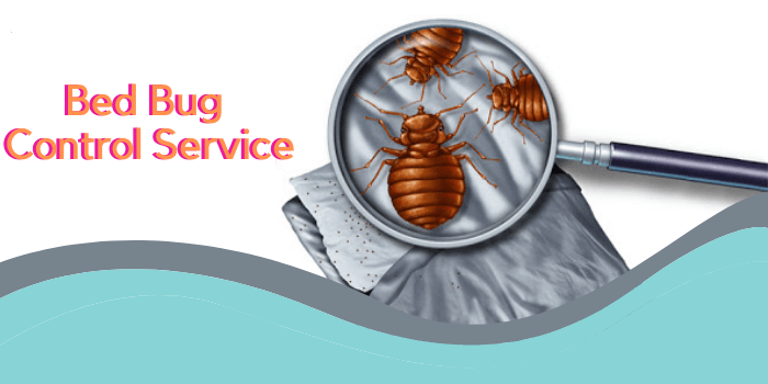 Marks Bed bug control service