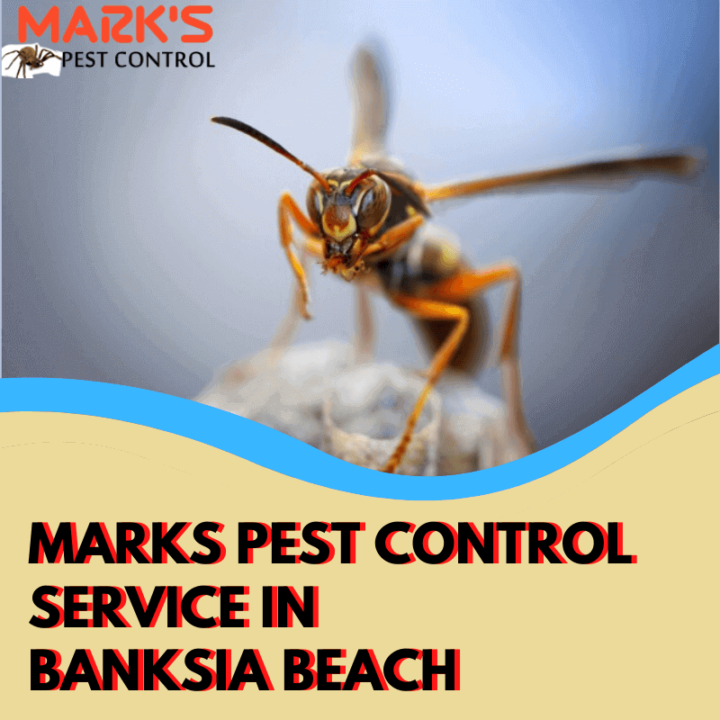 Marks Pest Control Service in Banksia Beach