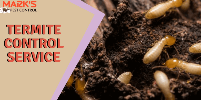 Marks Termite control service