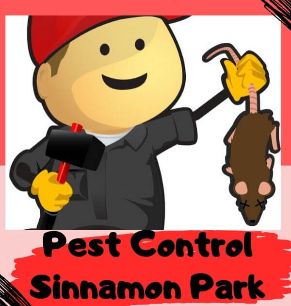 Pest Control Sinnamon Park