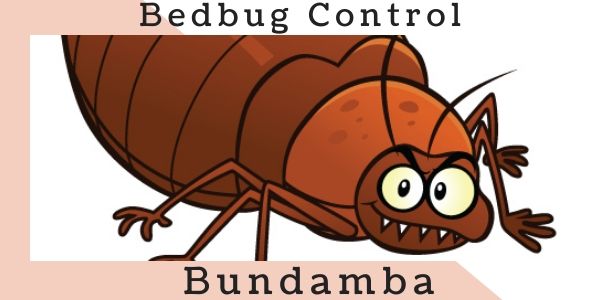 Bedbug control Bundamba