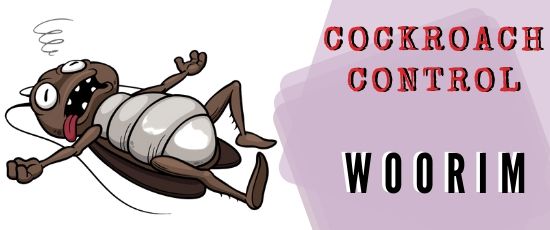 cockroach control
