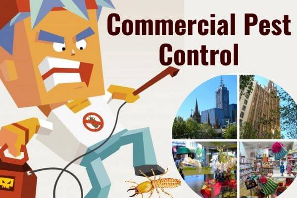 Commercial pest control Bundamb
