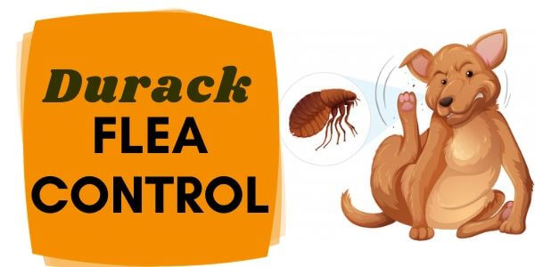Flea control