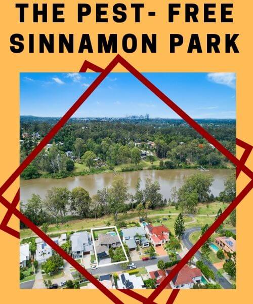 Pest control Sinnamon Park