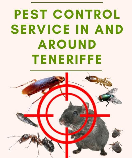 Marks Pest Control Teneriffe