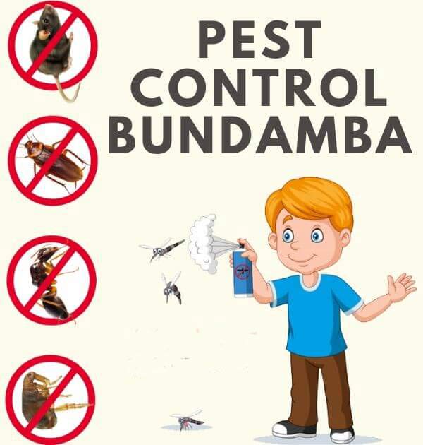 Pest Control Bundamba