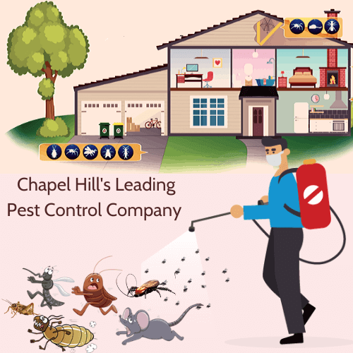 Chaple Hill's Pest Controller