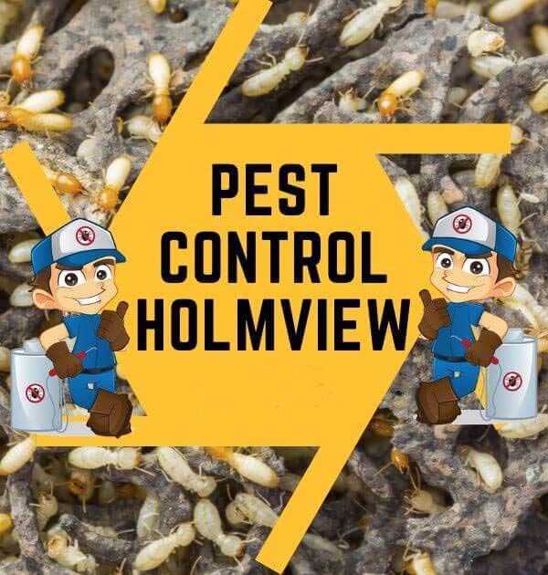 pest Control Holmview