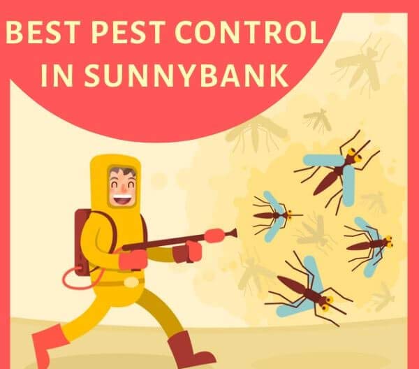 Pest Control Sunnybank