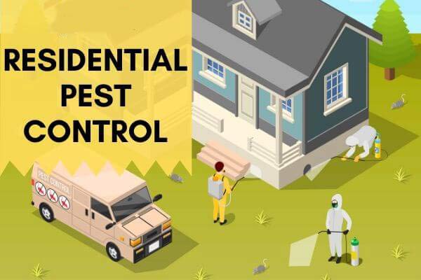 Residential Pest control