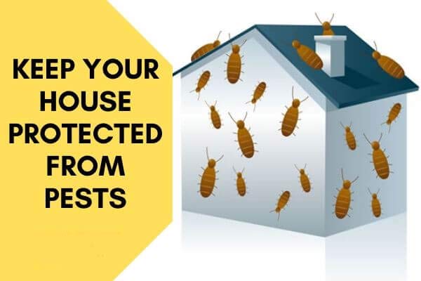 Residential pest control