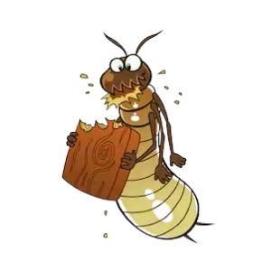 Termite Control Wendouree