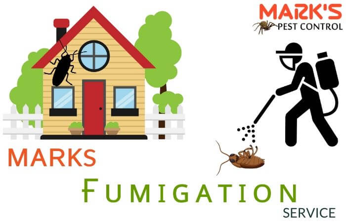 massey fumigation service