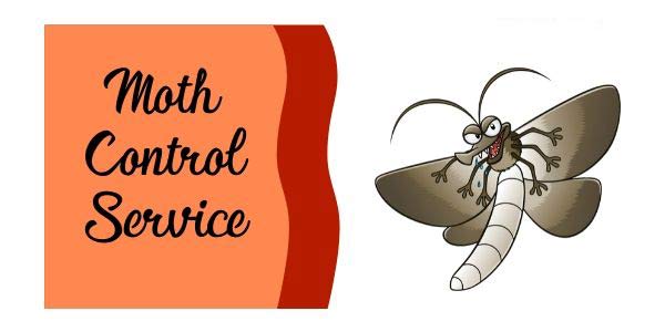 Moth Control Service