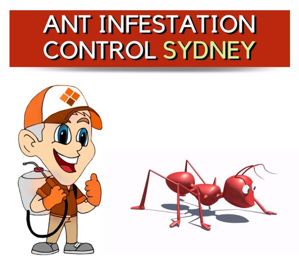 Ant Infestation Controller