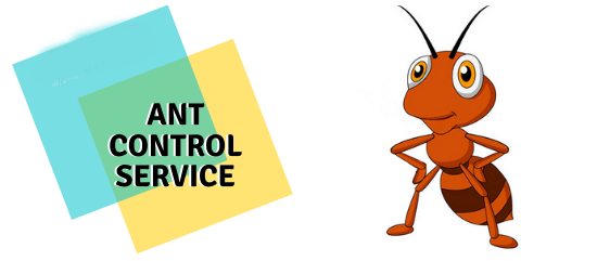 Ant Control service- Marks Pest Control