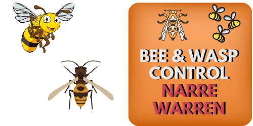 BEE & WASP CONTROL